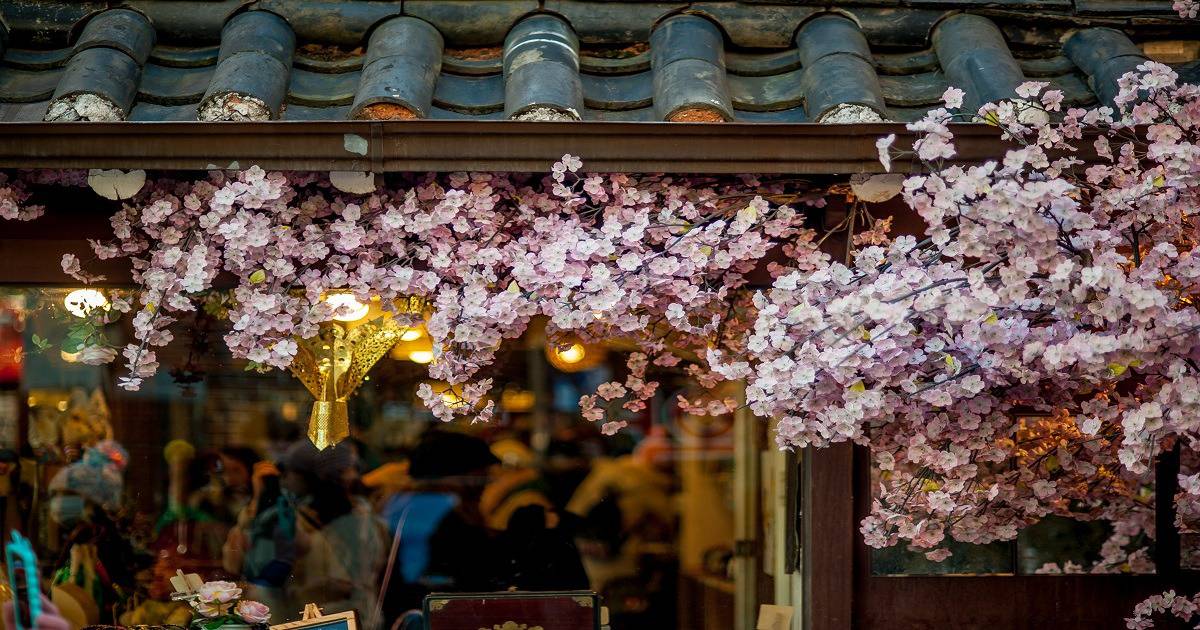 Roof with Cherry Blossoms