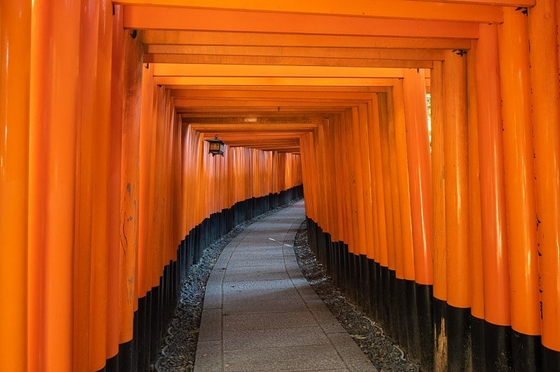 Solo Travel in Japan Fushimi Inari torii gates