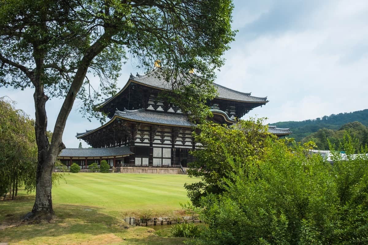 Daibutsu Den and green lawn in Nara