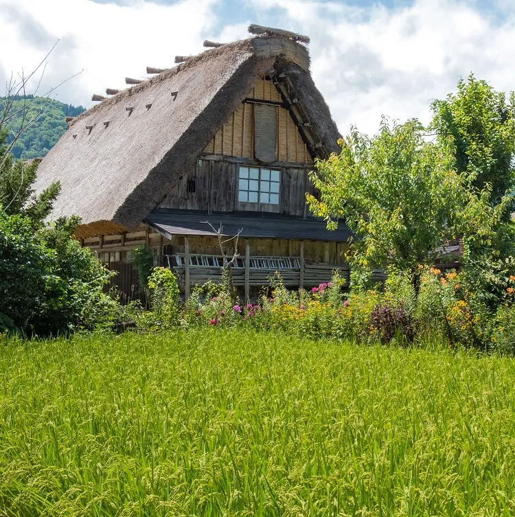 shirakawago travel blog