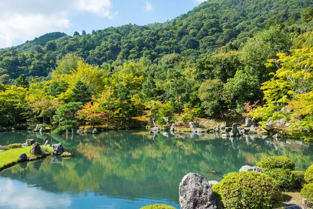 lotus pond of Tenryu-ji Temple Kyoto