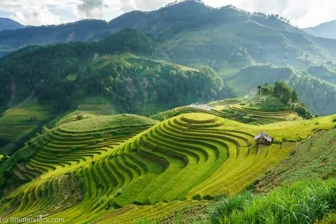 29 Books on Vietnam That'll Give You Serious Wanderlust - The Bamboo ...