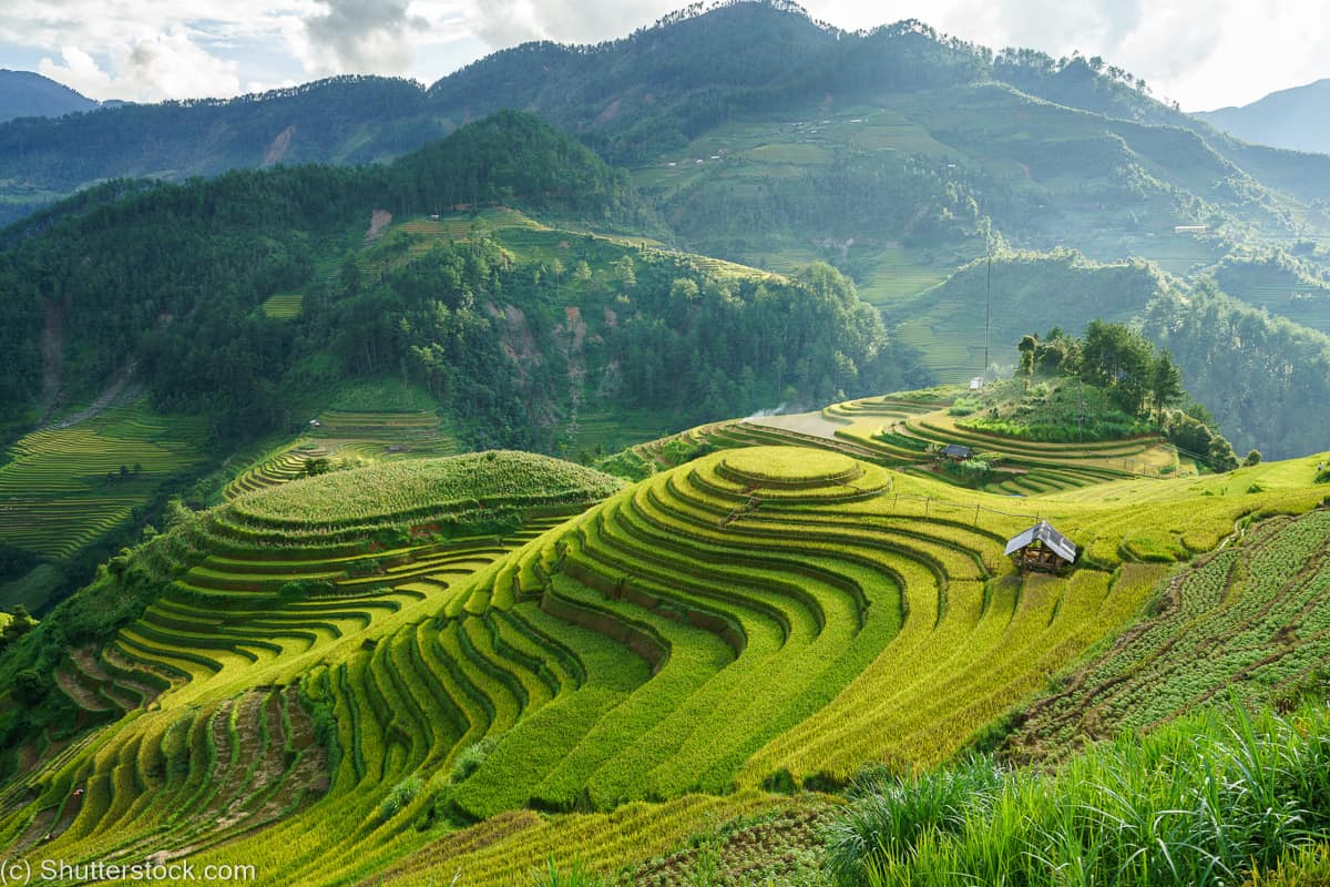 20 Best Vietnam Travel Guide Books of All Time - BookAuthority