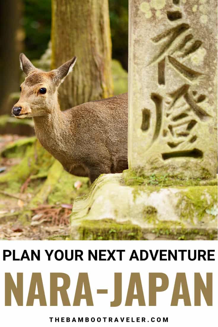a deer behind a stone marker covered in moss during Nara itinerary