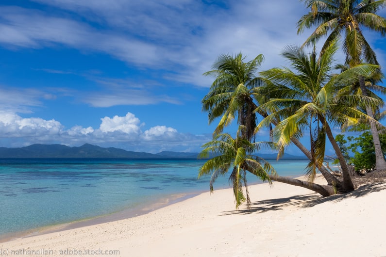 white sandy beach with palm trees in the Linapacan Islands in the Philippines