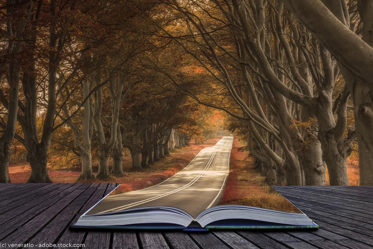 an open book leading to a path through a forest