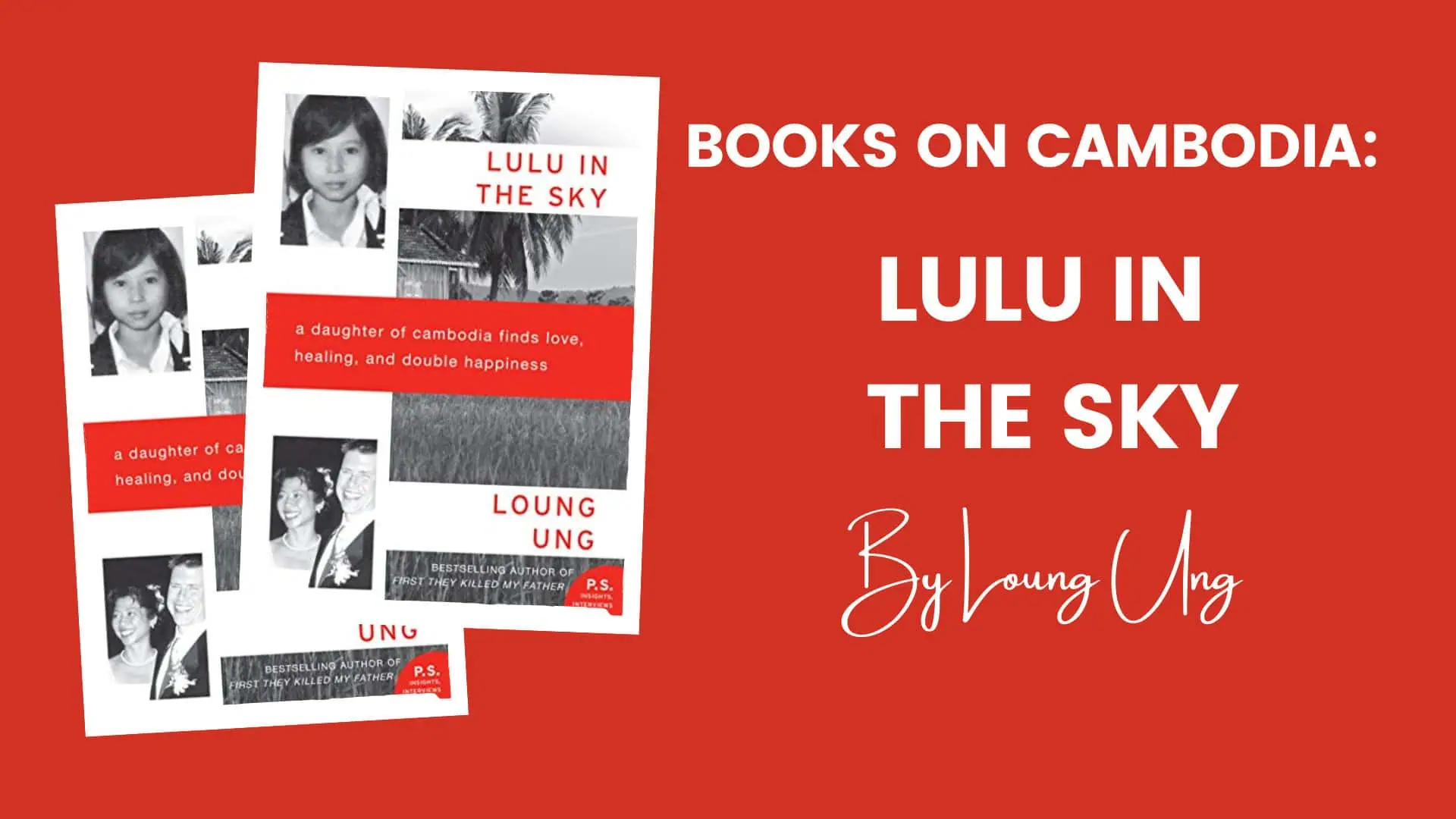 book cover of Lulu in the Sky