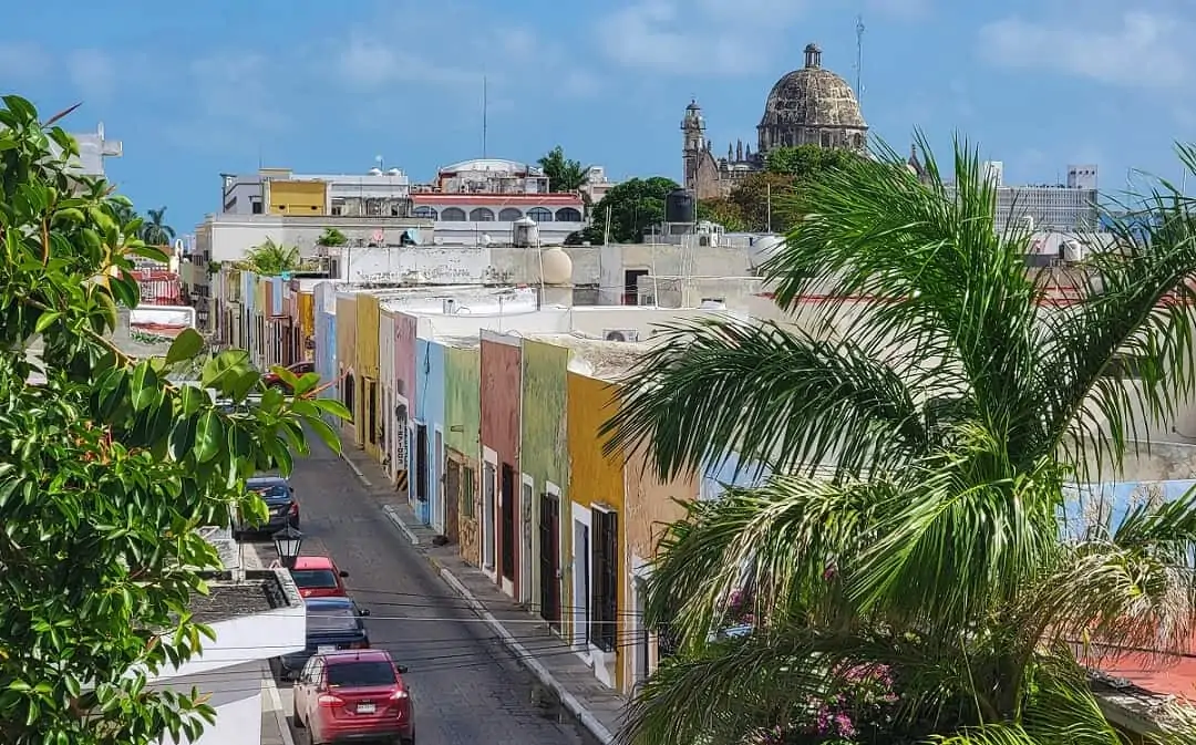 a street lined with colorful buildings and a palm tree