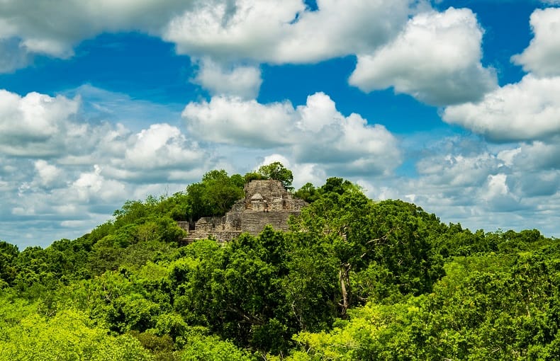 the top of Structure II pyramid surrounded by trees at Calakmul