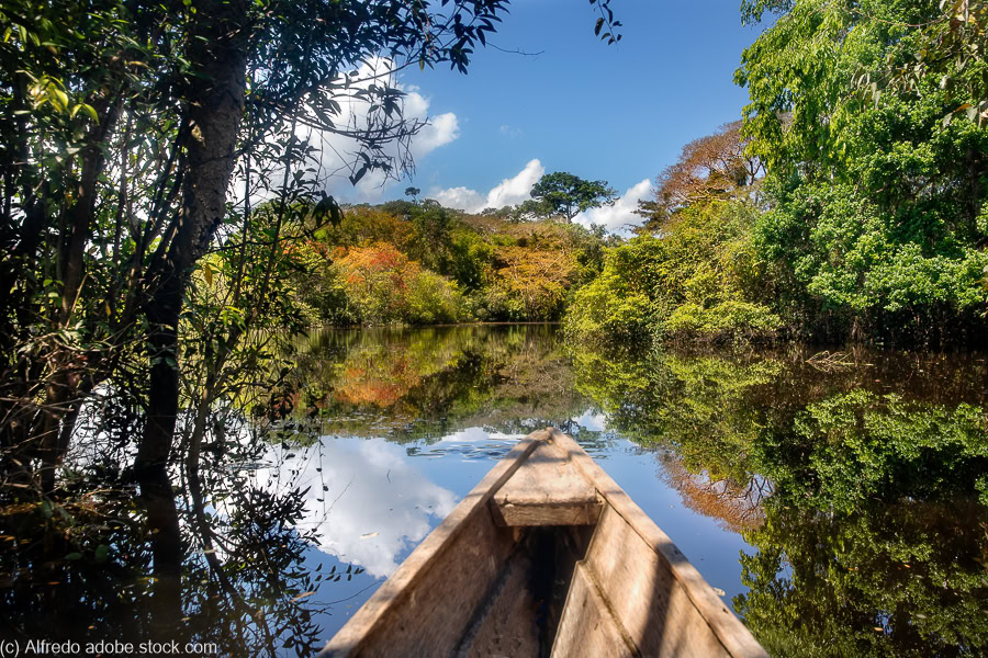 a boat sailing along a river lined with jungle in the Amazon