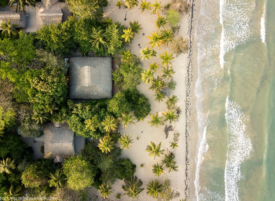 an aerial view of a beach with beach huts and palm trees