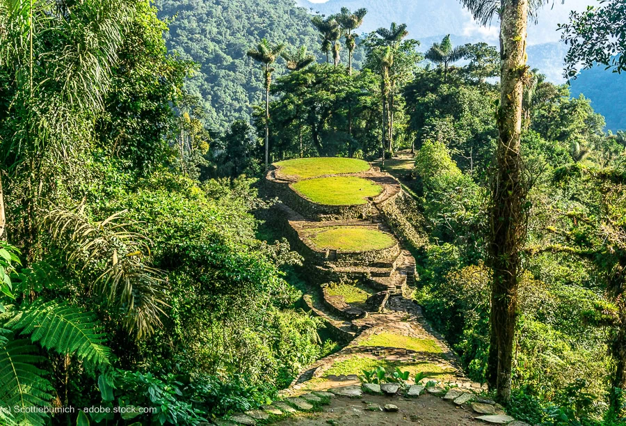 ancient terraces surrounded by trees at La Ciudad Perdida in Colombia