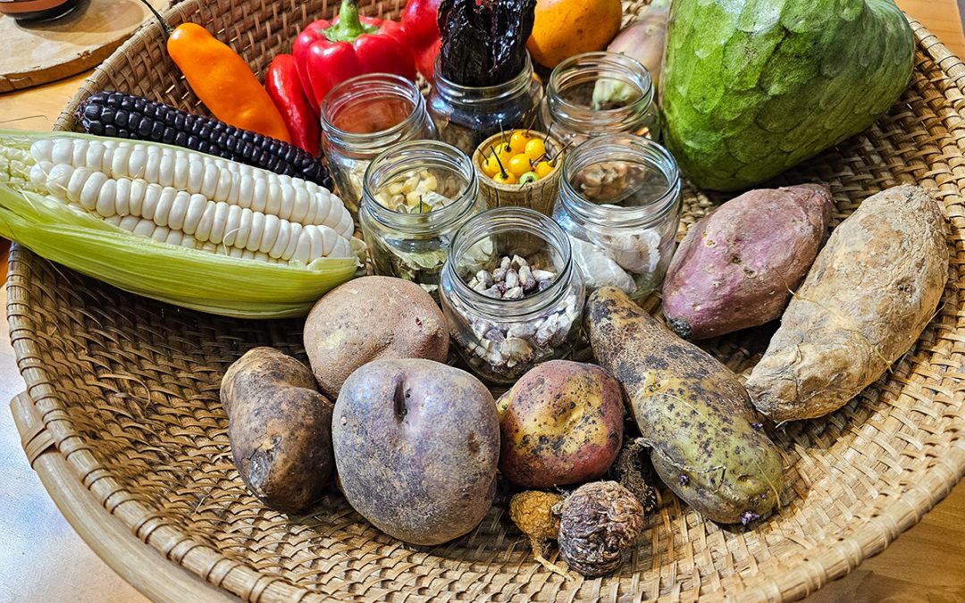 Lima Food Tour: Is the Exquisito Peru Food Tour Worth It?