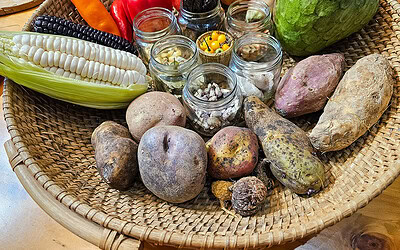 Lima Food Tour: Is the Exquisito Peru Food Tour Worth It?