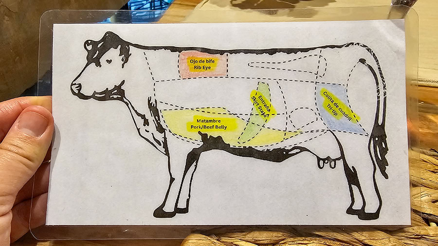 A diagram of a cow used during Betty and Marcelo's Asado Food Tour in Buenos Aires to explain different Argentine beef cuts. The illustration is color-coded to show the location of popular cuts like ojo de bife (ribeye), matambre (flank steak), entraña (skirt steak), and colita de cuadril (tri-tip). This educational tool helps travelers understand the traditional Argentine asado and local butchery during their culinary experience in Argentina.