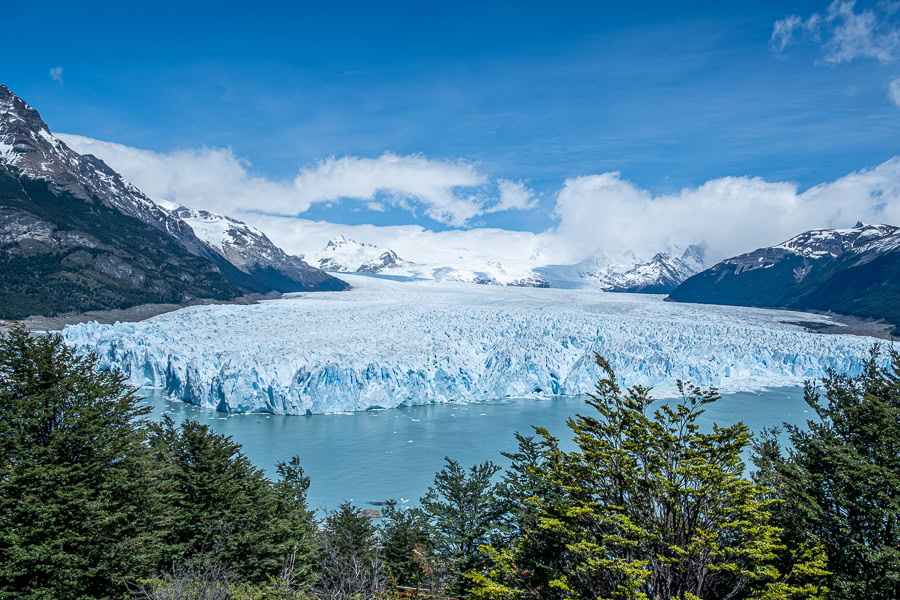 Wide view of the jagged blue ice of Perito Moreno Glacier meeting the turquoise water of Lago Argentino, framed by green trees and snow-capped mountains under a blue sky.